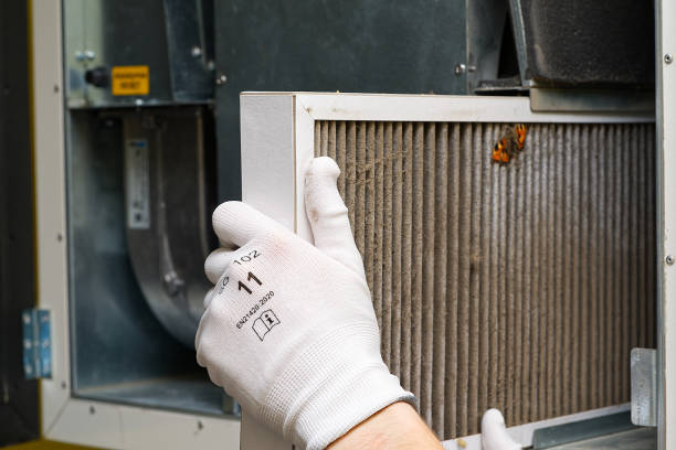 Best Air Duct Cleaning Near Me  in Cahokia, IL